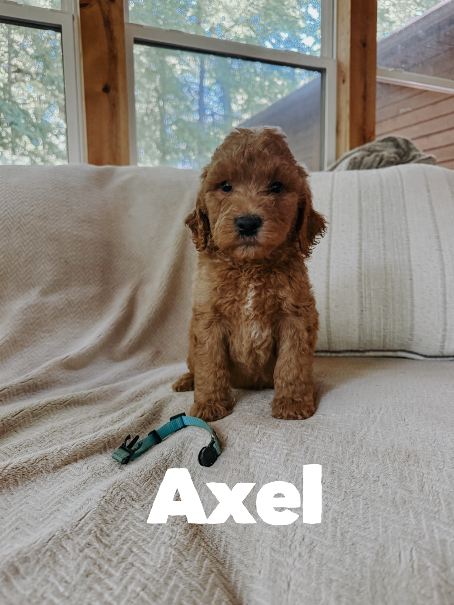 Axel 2